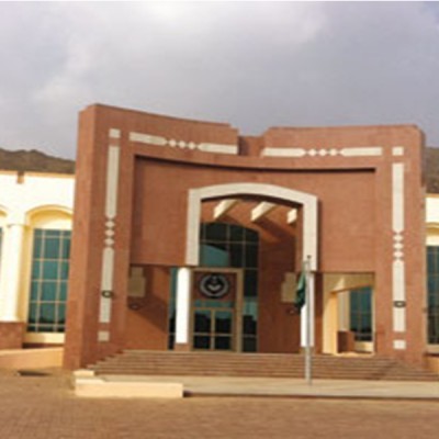 مـشـاريـع وزارة الــداخــلـيــة